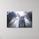 Recherche de rayons impressions sur toile Lumière