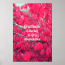 Recherche de gratitude posters Nature