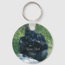 Recherche de gorilles porteclés Primate