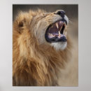 Recherche de le botswana posters Vertical