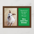Recherche de souris adorable cartes postales Vert