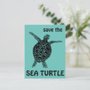 Recherche de turtle cartes postales Mer