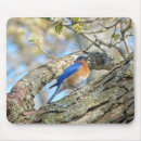 Recherche de joli oiseau tapis souris Printemps