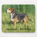 Recherche de beau chien tapis souris Chiens