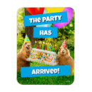 Recherche de chien magnets Anniversaire