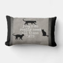Recherche de chats domestiques coussins Humour