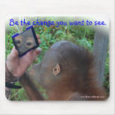 Recherche de citations célèbres tapis souris Pour tous