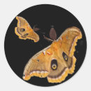 Recherche de mites autocollants Papillon