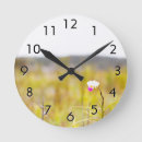 Recherche de volcan horloges Hawaii