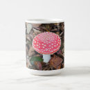 Recherche de amanita muscaria tasses Automne