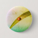 Recherche de insecte scarabée badges Animaux