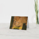 Recherche de salutation juive vœux cartes Juif