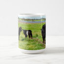Recherche de galloway tasses Veau