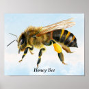 Recherche de honey bee posters Pour elle