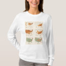 Recherche de proportions tshirts Atlas
