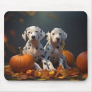 Recherche de chiot dalmatien tapis souris Animal