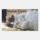 Recherche de adorable rectangles autocollants Chat