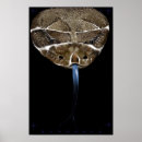Recherche de hochet posters Serpent