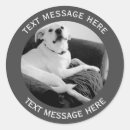 Recherche de la messagerie textuelle Drôle