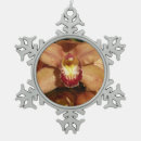 Recherche de orchidée ornements Nature