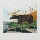 Recherche de 1886 cartes postales Vintage