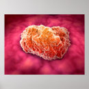 Recherche de biology posters Biochemistry