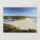 Recherche de buisson cartes postales Horizontal