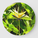 Recherche de fleurs exotiques horloges Toute personne