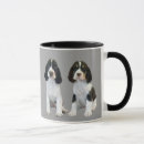Recherche de épagneul de springer anglais tasses Sauteur