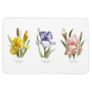 Recherche de jardin botanique magnets Fleurs violettes