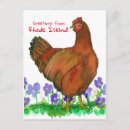 Recherche de rhode island cartes postales Animal de ferme
