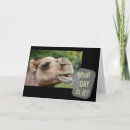 Recherche de chameaux vœux cartes Animaux