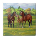 Recherche de poulain cheval carreaux Ranch