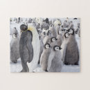 Recherche de poussins puzzles Mignon