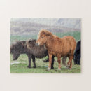 Recherche de poneys puzzles Animal