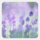 Recherche de croissance autocollants Nature