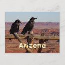 Recherche de trip cartes postales Usa