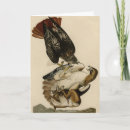 Recherche de queue rouge vœux cartes Oiseau