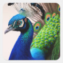 Recherche de belles couleurs autocollants Beau