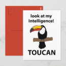 Recherche de toucans cartes postales Rétro