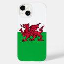Recherche de dragons celtiques iphone coques Dragon céleste