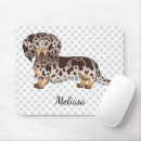 Recherche de longs cheveux tapis souris Doxie