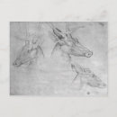 Recherche de pisanello cartes postales Cerf