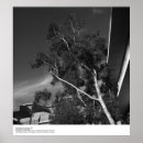 Recherche de qui 1966 photographie Uc san diego