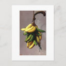 Recherche de amarillo cartes postales Voyage