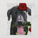 Recherche de labrador noir cartes postales Rose