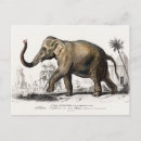 Recherche de peinture africaine cartes postales Éléphant