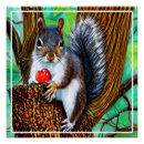 Recherche de écureuil posters Forêt
