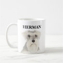 Recherche de schnauzer standard tasses Chien