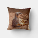 Recherche de suricate coussins Animal